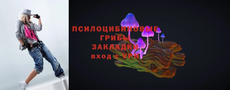 хочу   Арск  Псилоцибиновые грибы MAGIC MUSHROOMS 